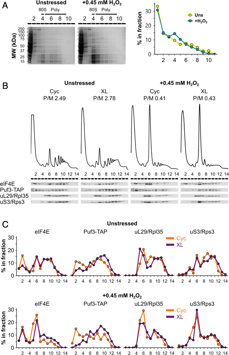 Figure 1—figure supplement 1.