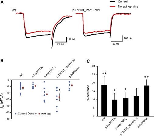 Figure 5