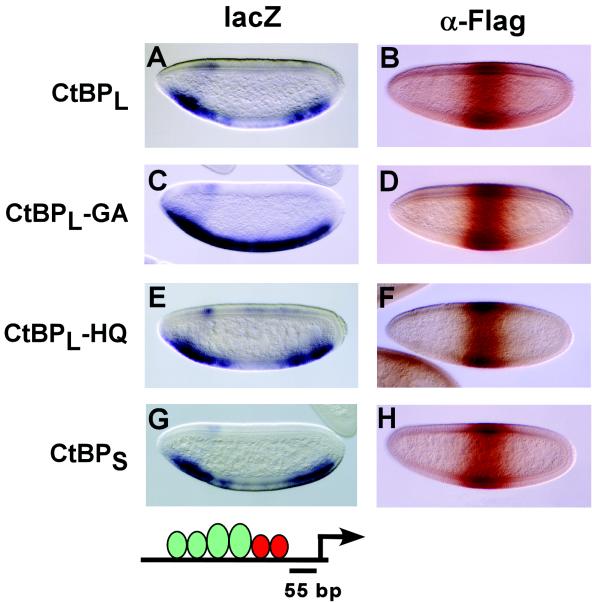 FIG. 7.