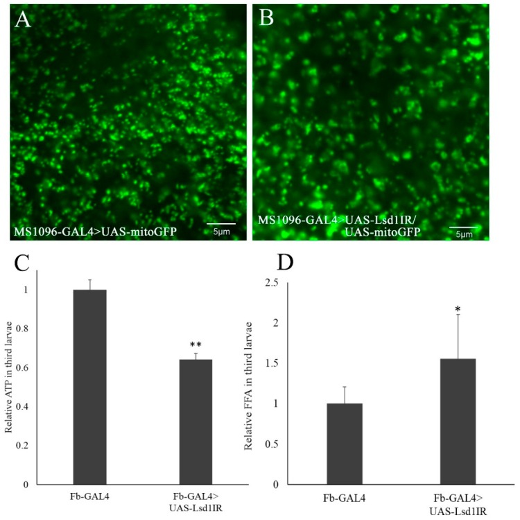 Figure 5