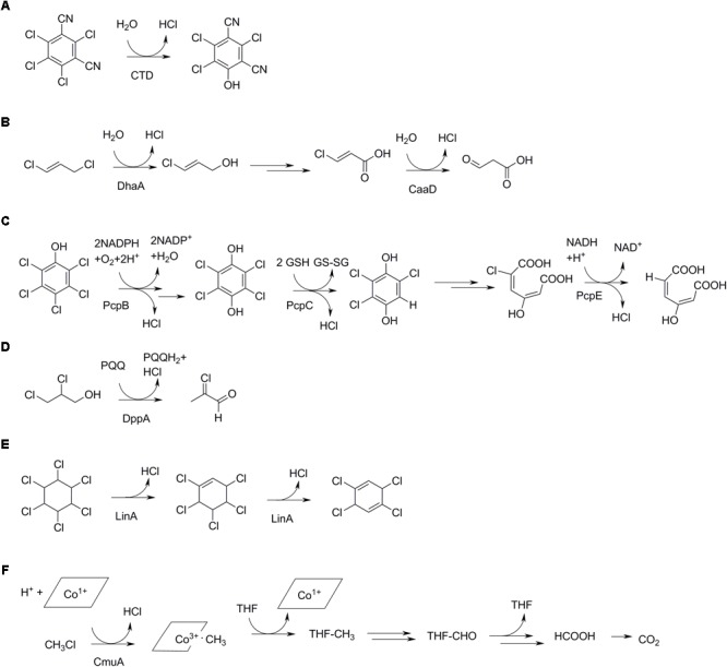 FIGURE 4