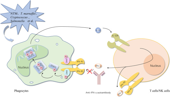 Figure 1