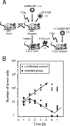 FIG. 11.