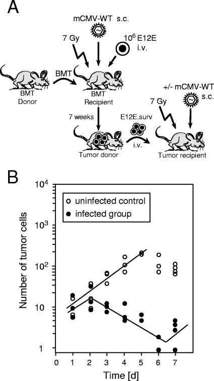 FIG. 11.