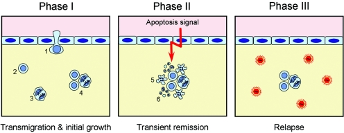 FIG. 14.