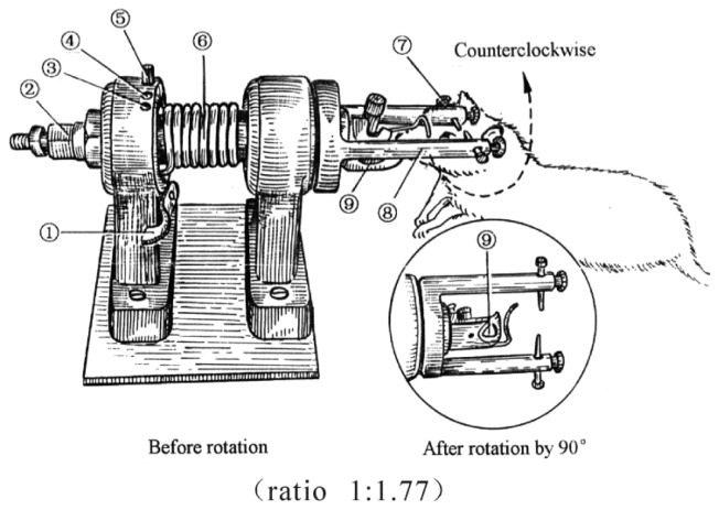 Figure 7.