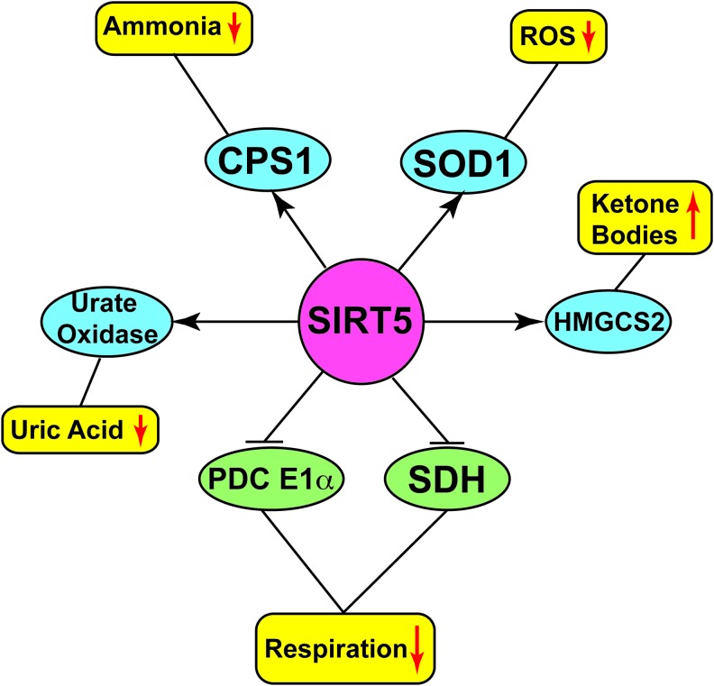 FIG. 5.