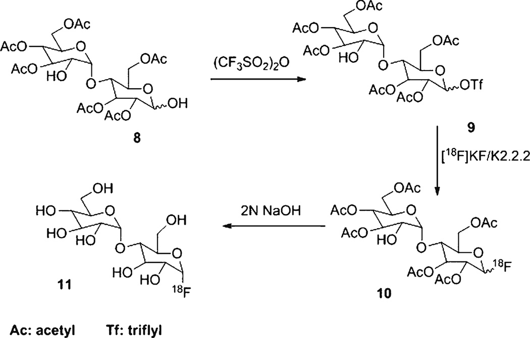 Scheme 3