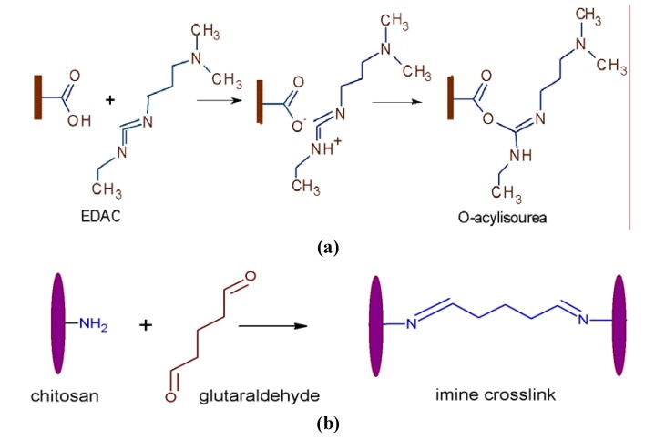 Scheme 4