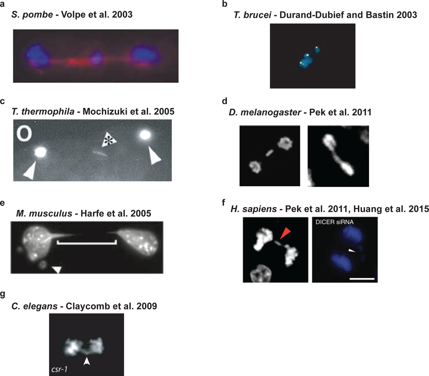 Figure 2 |