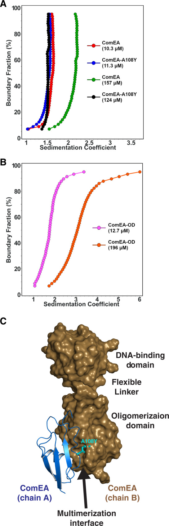 Fig. 4