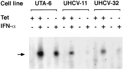 FIG. 6