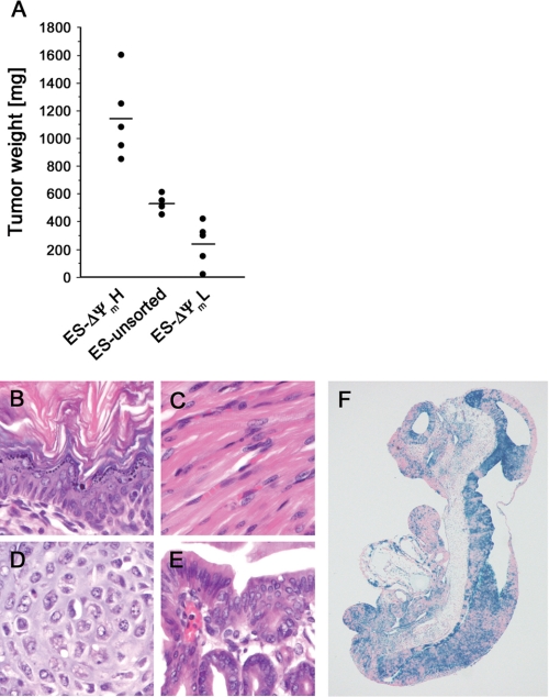 FIGURE 5.