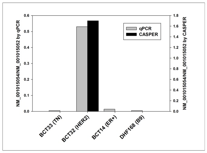 Figure 11