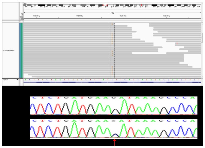 Figure 7