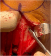 Fig 7