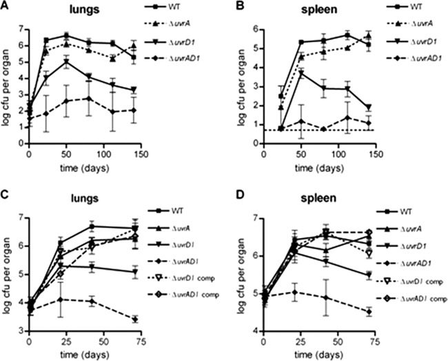 Fig 6