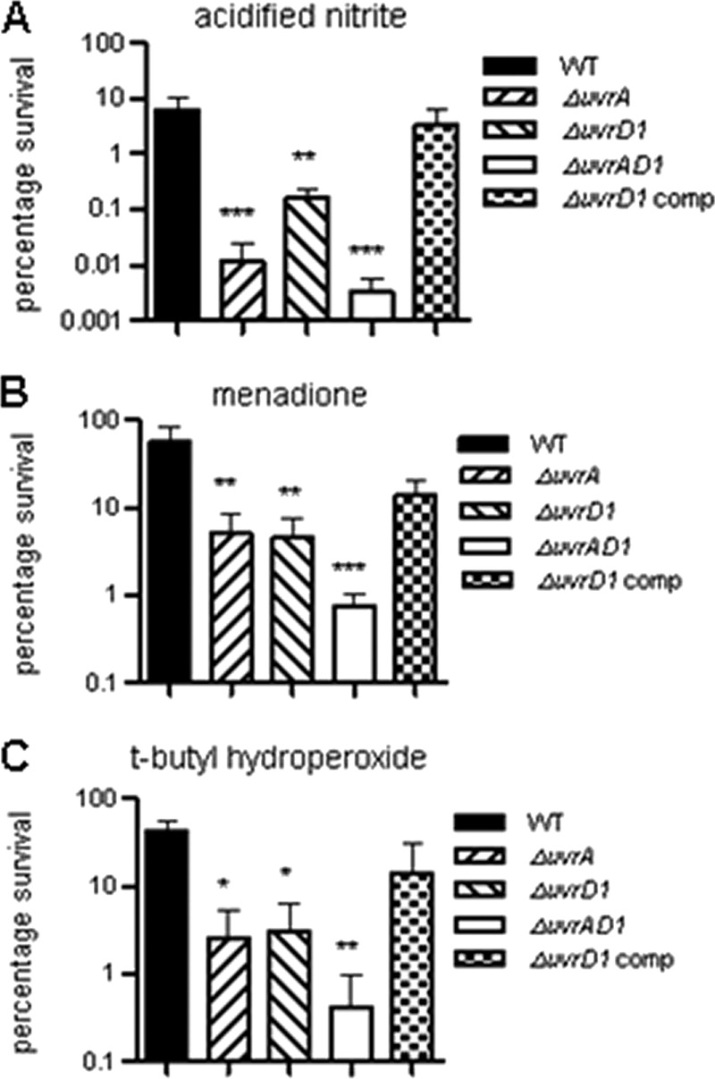 Fig 4