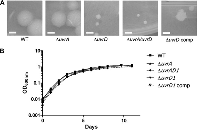 Fig 2