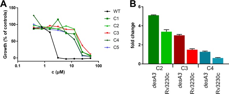 FIG 2