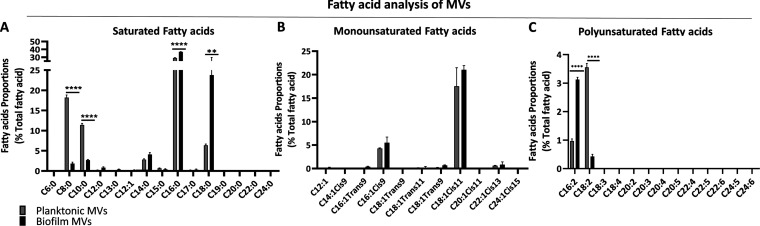 FIG 3