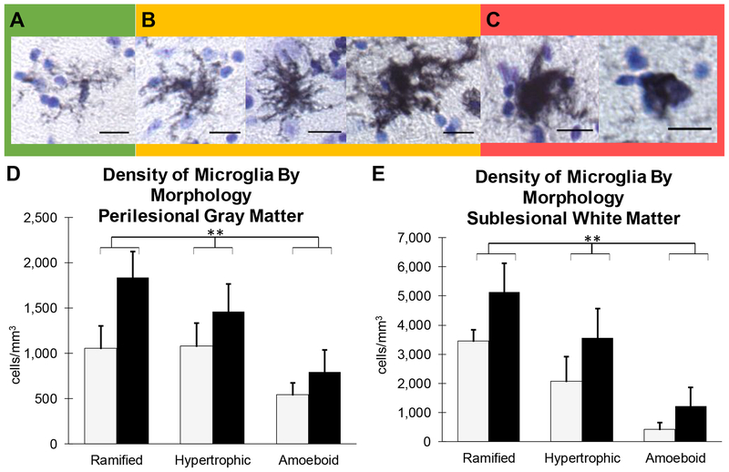 Figure 4: