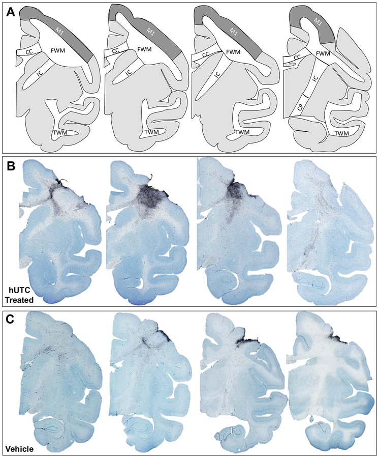 Figure 5: