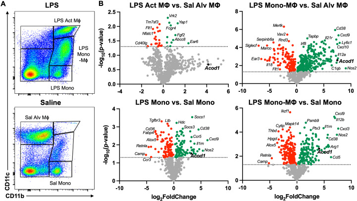 Figure 2