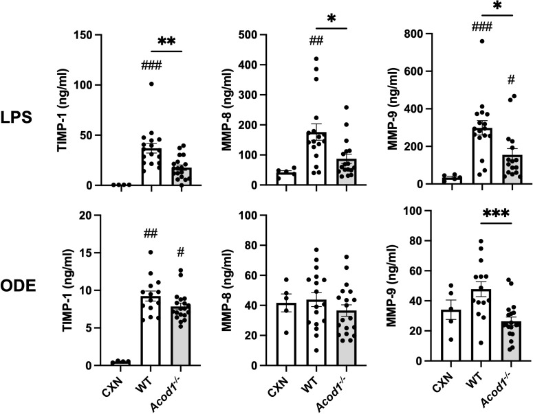 Figure 7