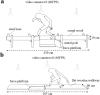 Fig. 2