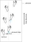 Fig. 3