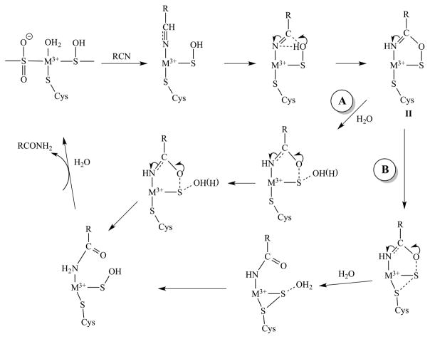 Scheme 3