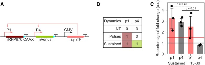 Figure 6.