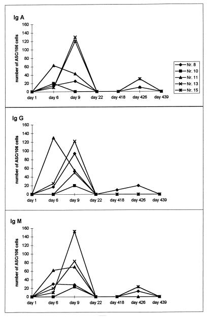 FIG. 1