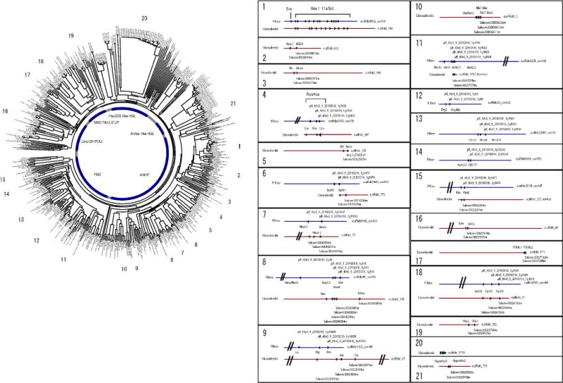 Extended Data Figure 4