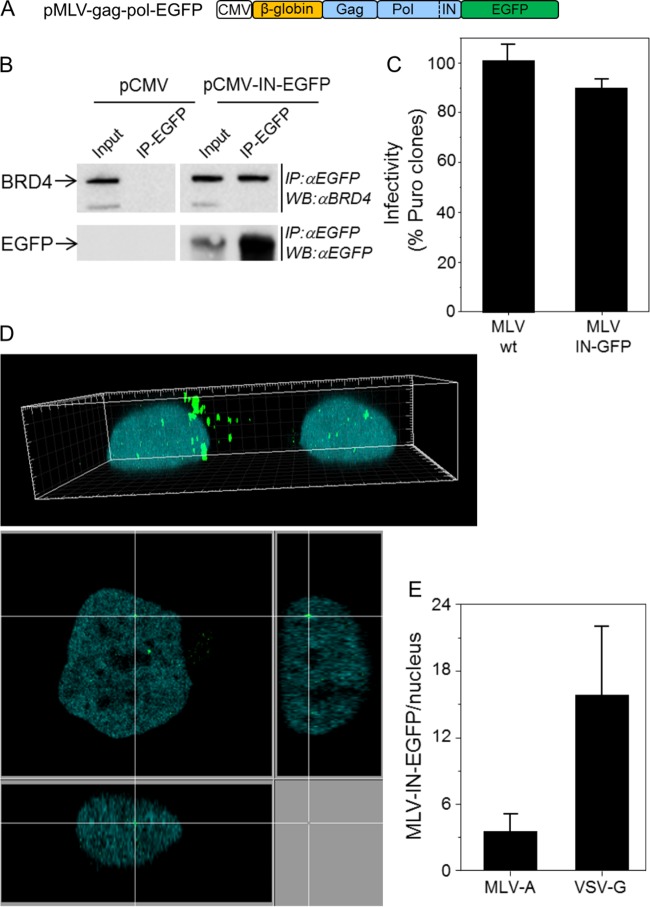 FIG 2