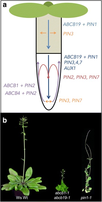 Fig. 1.