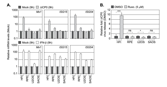 Fig 10