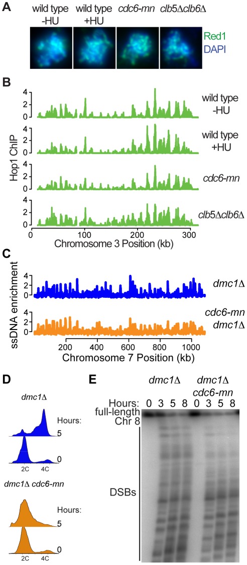 Figure 6