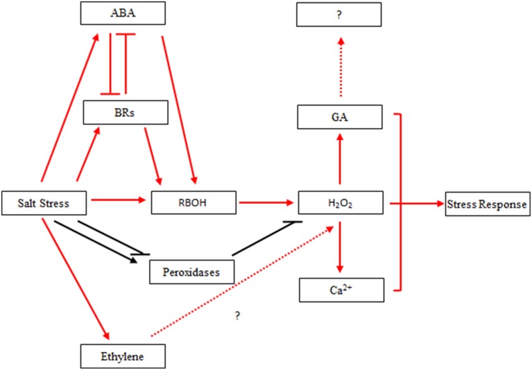 Figure 9