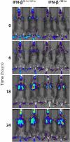 Figure 11.