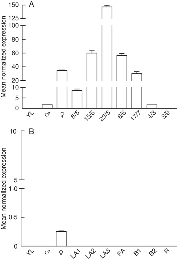 Fig. 3.