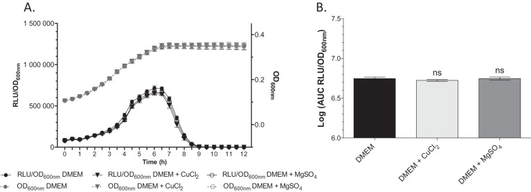 FIG 2