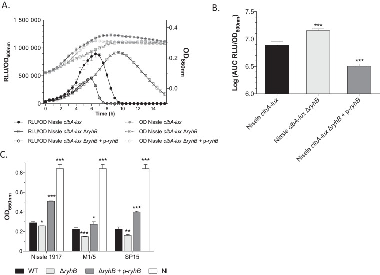 FIG 6