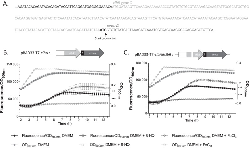 FIG 3