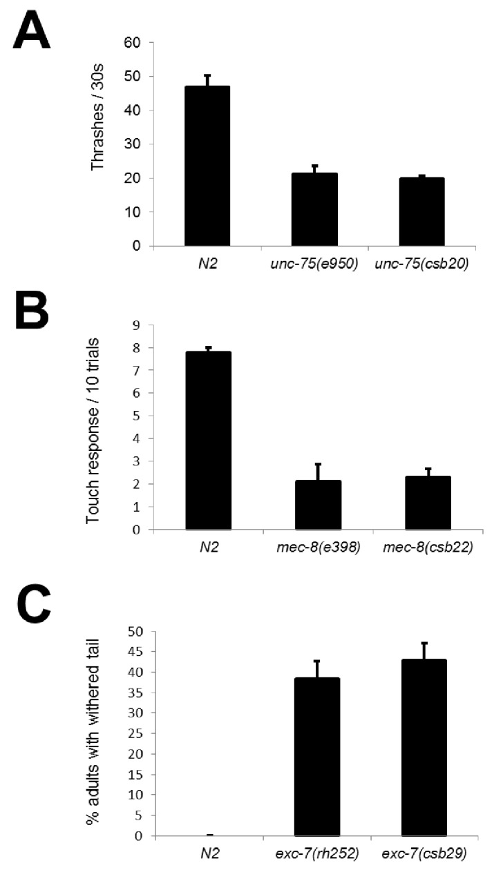 Figure 2—figure supplement 1.