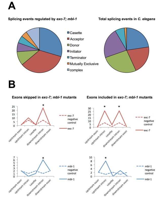 Figure 5—figure supplement 2.