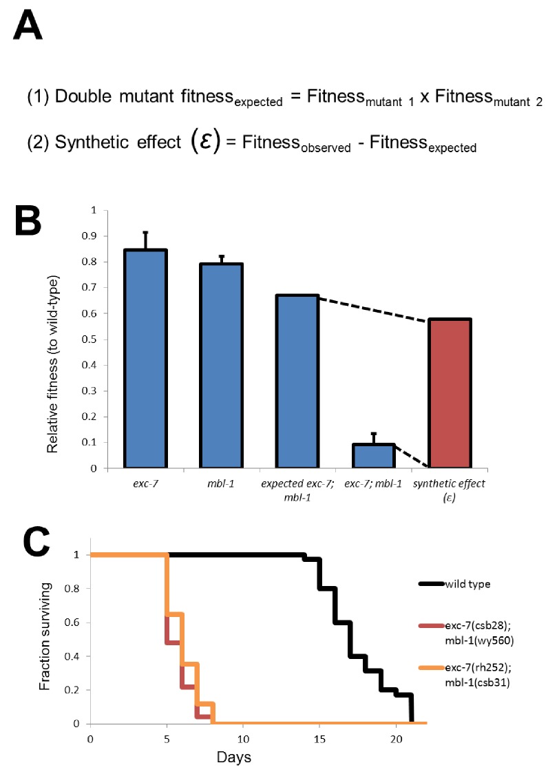 Figure 3—figure supplement 2.