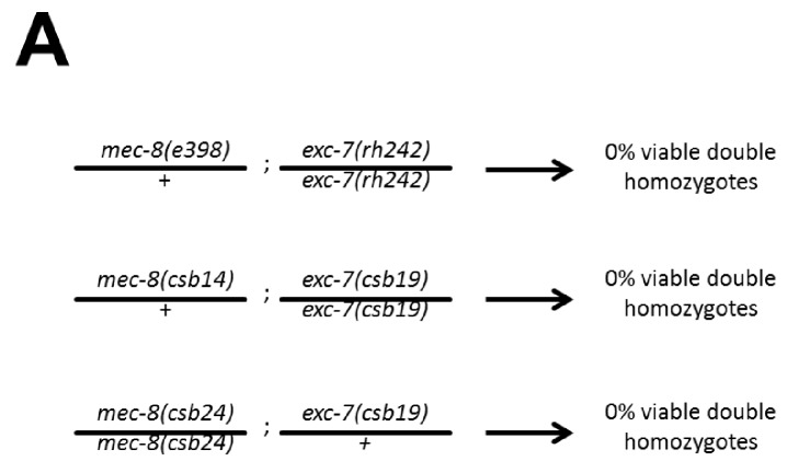 Figure 3—figure supplement 1.