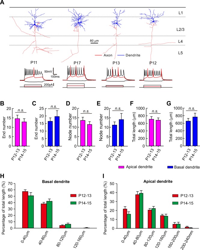 Figure 1—figure supplement 3.